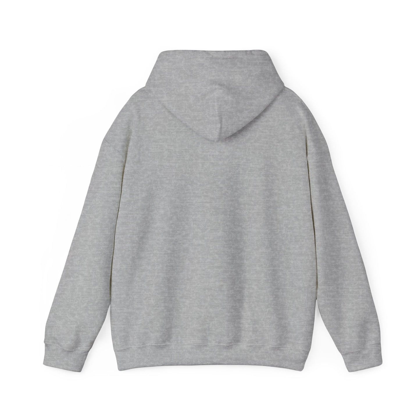 C10 Spring Collection Unisex Sport Grey Hooded Sweatshirt