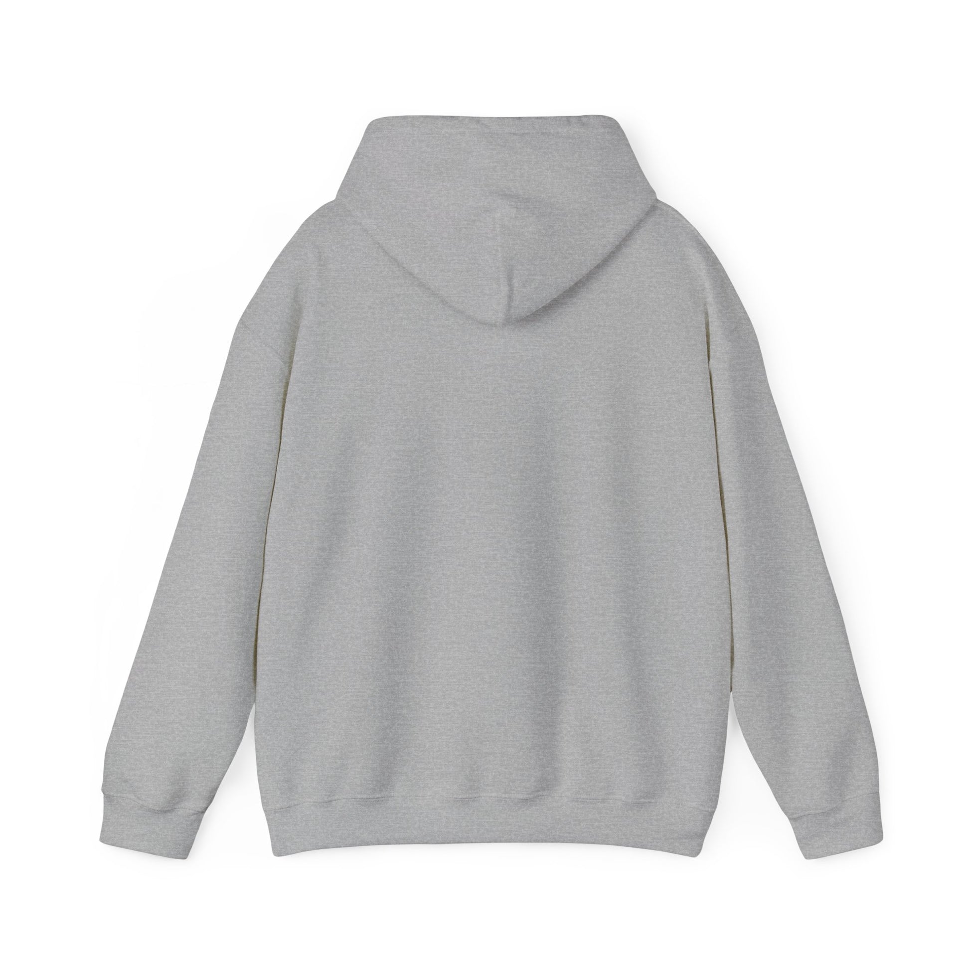 Diesel World BlueTec Brilliance Sport Grey Hooded Sweatshirt